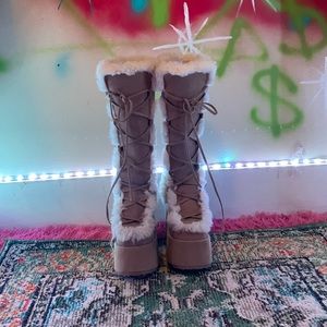 Brown Fluffy Demonias